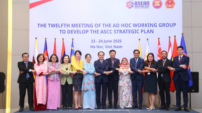Vietnam hosts ASEAN Socio-Cultural Community strategic meeting