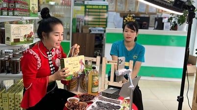 Yên Bái: Sản phẩm OCOP vươn xa thông qua nền tảng số