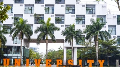 16 Vietnamese universities in the 2025 influence ranking