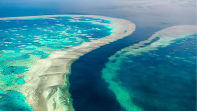 Die Great Barrier Reef Tour: Reise durch das spektakulärste Korallenriff der Welt