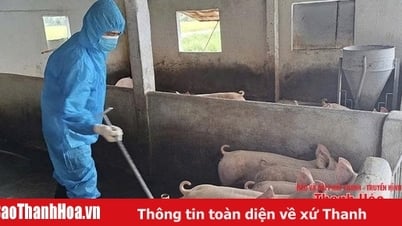 إنشاء "درع" للوقاية من الأوبئة ومكافحتها