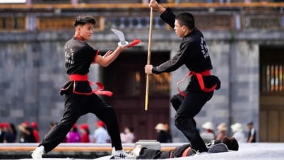 La quintessence des arts martiaux à Hué : les arts martiaux de la dynastie Nguyen