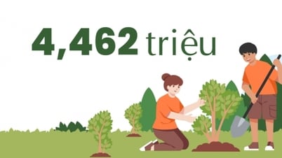 4,462 triệu - là số lượng cây phân tán toàn tỉnh đã trồng từ năm 2020 đến nay