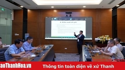 Capacitación para el desarrollo de capacidades en licitaciones y gestión de proyectos en la central hidroeléctrica de Trung Son