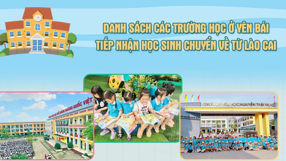 Danh sách các trường ở Yên Bái tiếp nhận học sinh chuyển về từ Lào Cai (đợt 1)