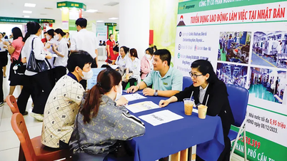 Nhiều nỗ lực kết nối thị trường lao động