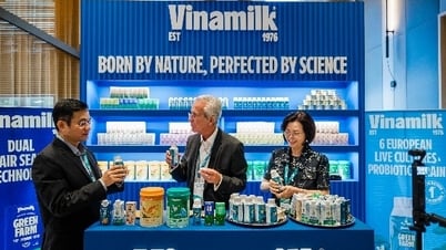 “Desbloqueando” la nutrición natural con tecnología: la leche vietnamita causa sensación en el ámbito mundial.