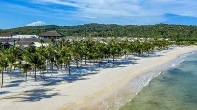 ¿Por qué el crecimiento del turismo en Phu Quoc no está a la altura de su potencial y sus ventajas?