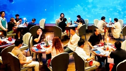 Phú Quốc có gì mà khách Trung Quốc nhộn nhịp đến chơi?