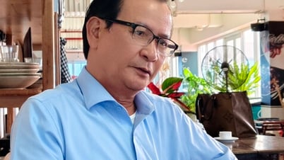 Su socio de desarrollo de confianza