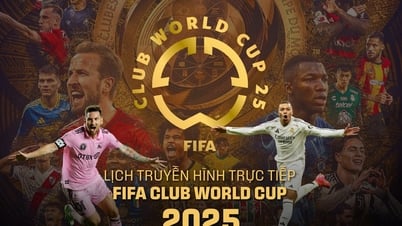 FIFA 클럽 월드컵 2025 생중계 일정: A, B조 경기 티켓 확정