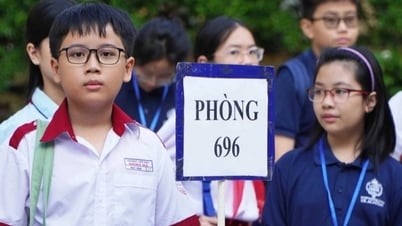Trường Trần Đại Nghĩa công bố điểm vào lớp 6: Điểm chuẩn cao chưa từng có