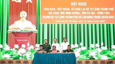 ホーチミン市がビンズオン省とバリア・ブンタウ省から軍隊を受け入れる
