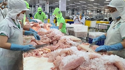 Les États-Unis exonèrent de taxe à l'exportation six autres entreprises vietnamiennes de pangasius