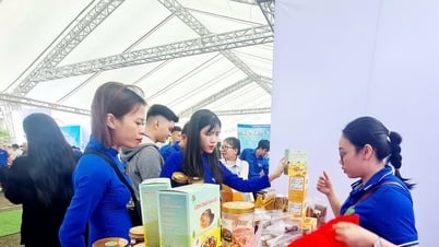 Hỗ trợ hơn 1.700 phụ nữ khởi sự kinh doanh và khởi nghiệp giai đoạn 2017 - 2025