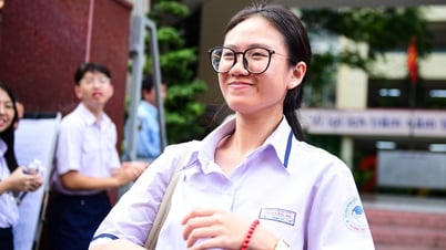 Répartition des scores de la matière Littérature à l'examen de 10e année à Ho Chi Minh-Ville 2025, le score le plus élevé des 2 candidats était de 9,5