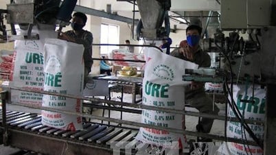 Marché des engrais : les prix intérieurs suivent de près la tendance mondiale à la hausse