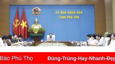 Resolutely fight against and prevent smuggling, trade fraud, counterfeit goods and intellectual property infringement.