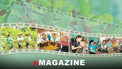 "Giữ lửa" nghề trồng dâu nuôi tằm ở vùng cao