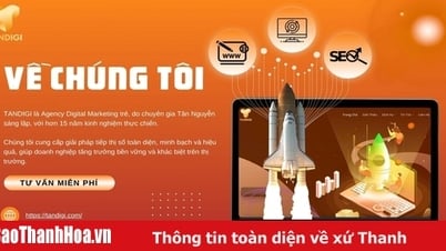 TANDIGI - Giải pháp SEO tổng thể giúp doanh nghiệp bứt phá trên Google