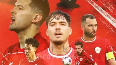 Selección nacional indonesia naturalizada, seis jugadores desempleados a nivel de club