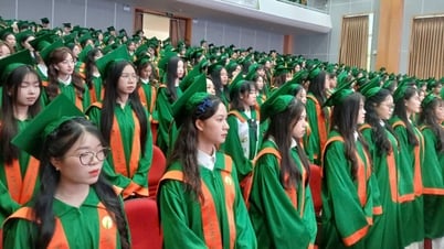Trường Đại học Đà Lạt trao bằng tốt nghiệp hệ chính quy cho 1.210 cử nhân, kỹ sư khóa 45