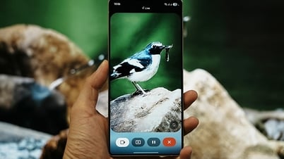 Explorez la nature avec la série Galaxy S25 et l'assistant Gemini Live
