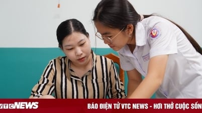 488 thí sinh đạt điểm tuyệt đối môn Ngoại ngữ thi lớp 10 TP.HCM