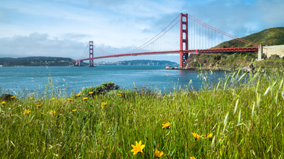 Viajes de verano en San Francisco: Cuando la brisa del Pacífico sopla suavemente por la ladera