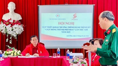 Lần đầu tiên Trường Đại học Đà Lạt đăng cai tổ chức Chương trình Hành trình đỏ lần thứ XIII năm 2025