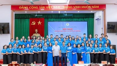 LĐLĐ huyện Sơn Dương công bố giải thể 141 công đoàn cơ sở