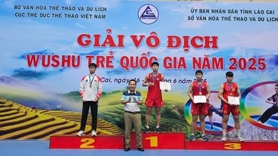 L'équipe CAND Wushu classée 3e au classement général du Championnat national de Wushu des jeunes 2025