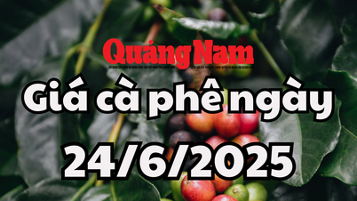 ព័ត៍មាន ការព្យាករណ៍តម្លៃកាហ្វេថ្ងៃស្អែក ទី២៤ ខែមិថុនា ឆ្នាំ២០២៥ បញ្ចប់និន្នាការចំហៀង