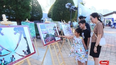 Демонстрация красивых фотографий туризма в районе Сонла в городе Дананг