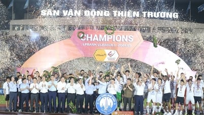 V-League 2024/25 ends: Not many breakthroughs yet