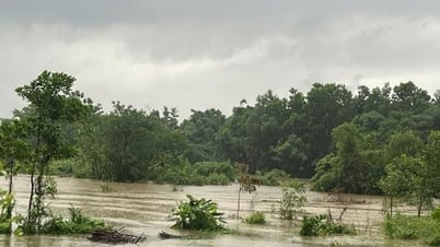 El río Cau en el distrito de Soc Son crece rápidamente, superando el nivel 2 de alarma