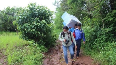 Chân... chạy