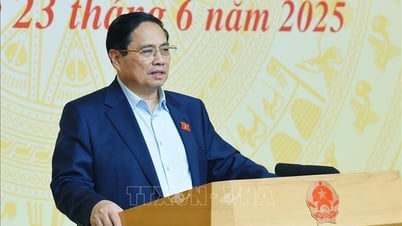 Thủ tướng : Mỗi ngày đều là cao điểm chống buôn lậu, gian lận thương mại, hàng giả