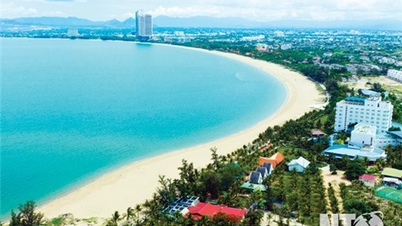 Du lịch hè 2025 - Đừng bỏ lỡ Ninh Thuận