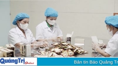 تشجيع التنمية المستدامة للأعشاب الطبية