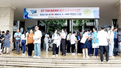تخطط جامعة آن جيانج لتسجيل 40 تخصصًا تدريبيًا جامعيًا بدوام كامل