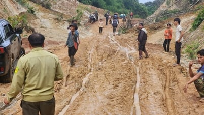 180 tỉ đồng xây dựng đường vào Tiểu khu 179