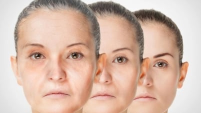 Phát hiện phân tử chống lão hóa trong máu người
