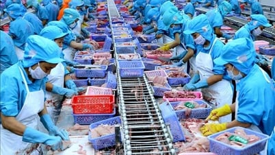 Les attentes du marché Halal pour les produits agricoles vietnamiens