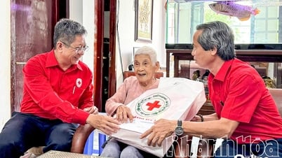 Kết nối, lan tỏa giá trị nhân đạo