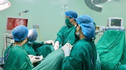 Deux filles avec un double utérus et un seul rein