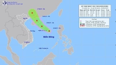 Tropical depression moves northwest with wind force level 6, gust level 8