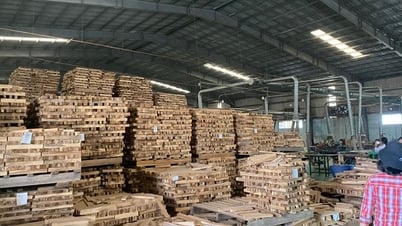 サプライチェーンにおけるベトナムの木材および木材製品の透明性の向上