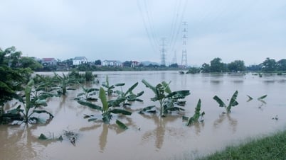 Hiệp Hòa: Nước dâng cao ảnh hưởng đến đời sống, sản xuất của người dân