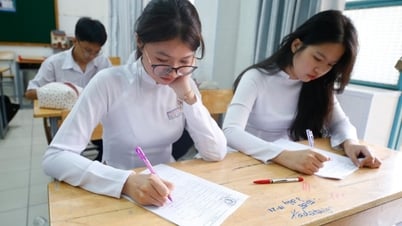Don't underestimate social sciences and humanities
